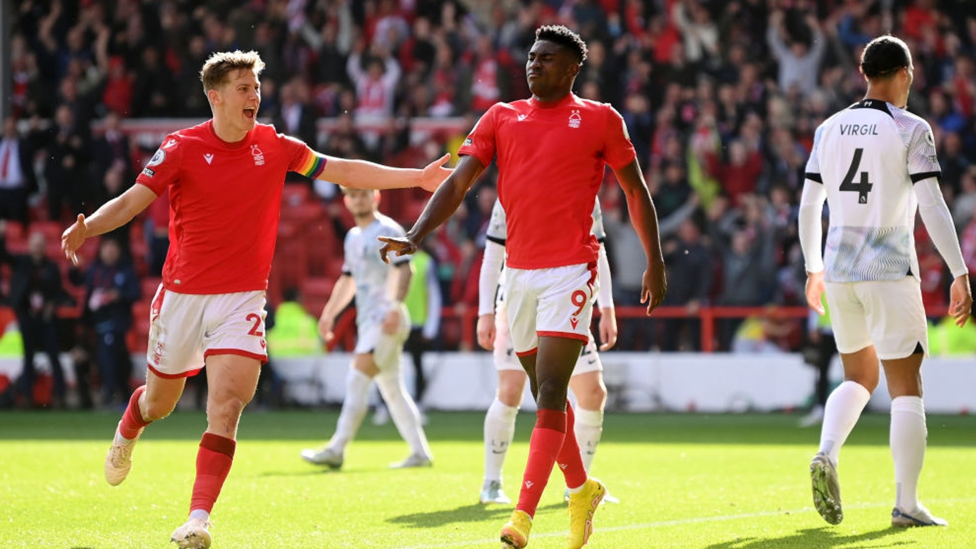 国提供一些 国提供一些